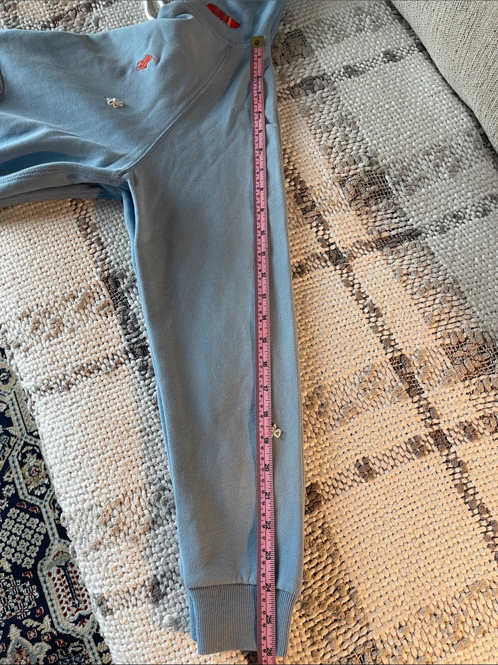 (New) Ralph Lauren Light Blue Hoodie with Embroidered Details. - Picture 6 of 8